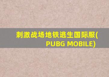 刺激战场地铁逃生国际服(PUBG MOBILE)